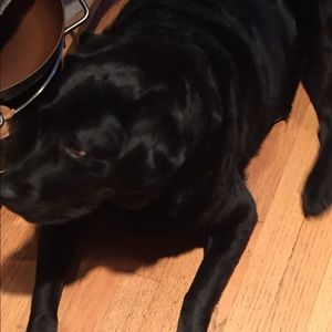 Meet your Posher, Jack